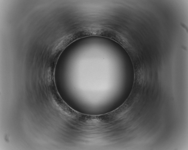X0000099550594200805161454