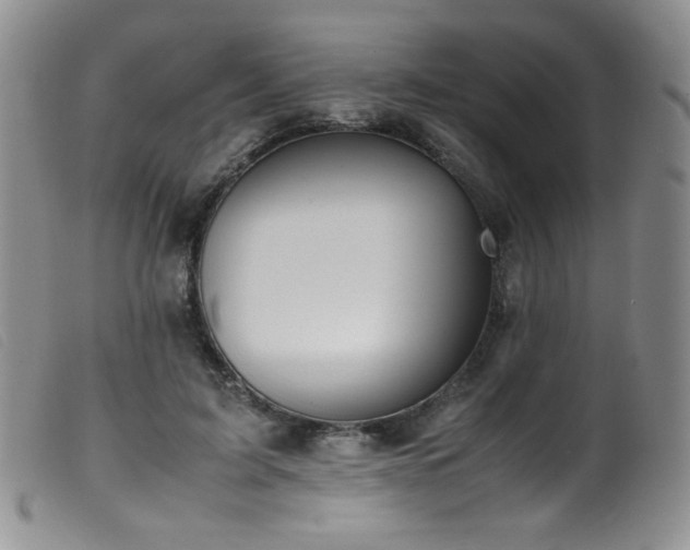 X0000099550595200805161454