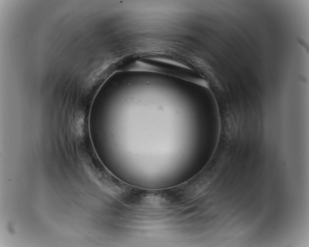 X0000099550596200805161454