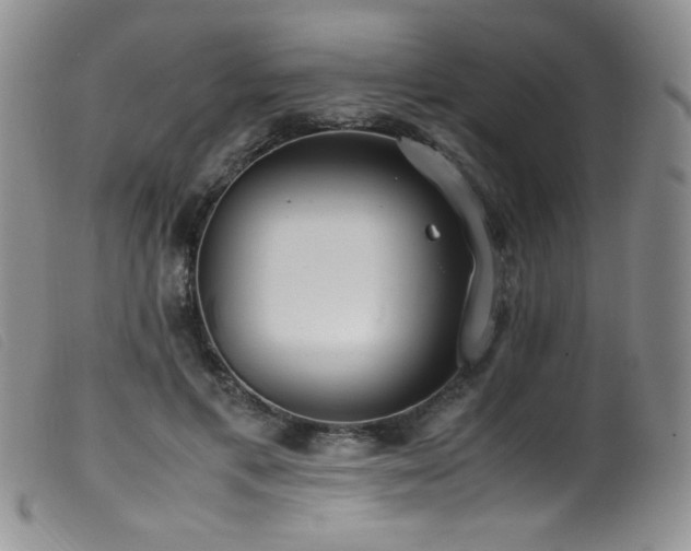X0000099550597200805161454