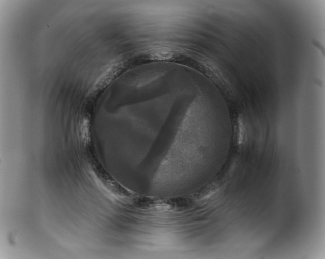X0000099550598200805161454