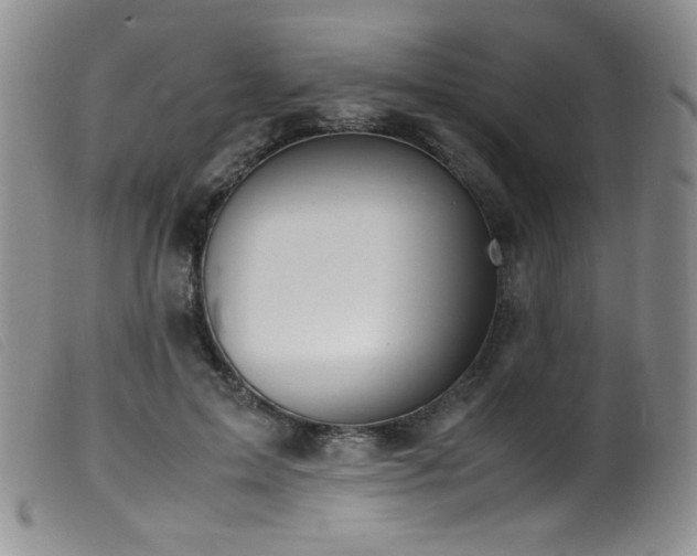 X0000099550599200805161454