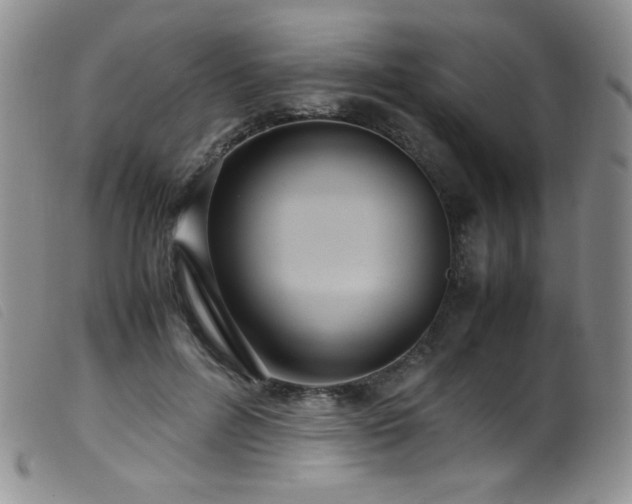 X0000099550600200805161454