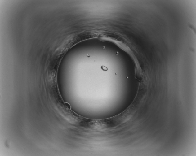 X0000099550601200805161454