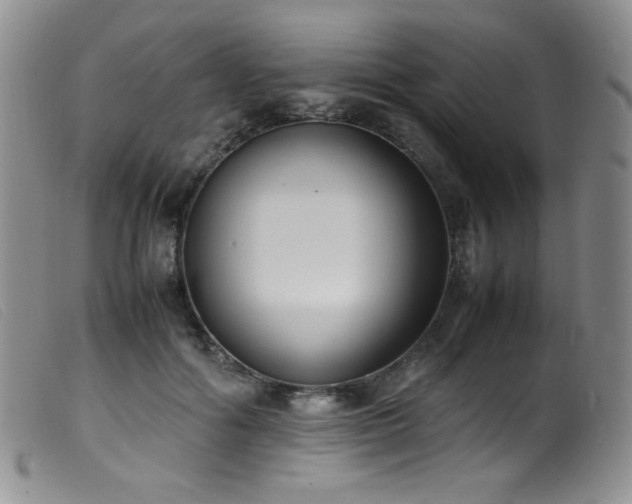 X0000099550602200805161454