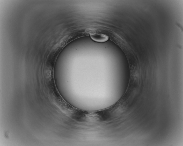 X0000099550603200805161454