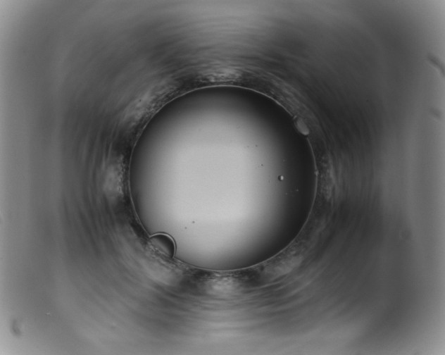 X0000099550604200805161454