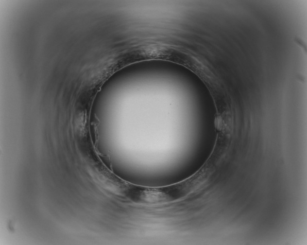 X0000099550605200805161454
