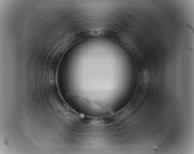 X0000099550606200805161454