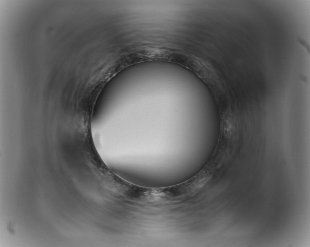 X0000099550607200805161454