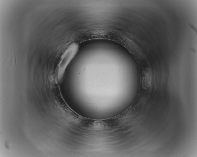 X0000099550608200805161454