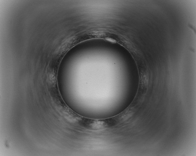 X0000099550609200805161454