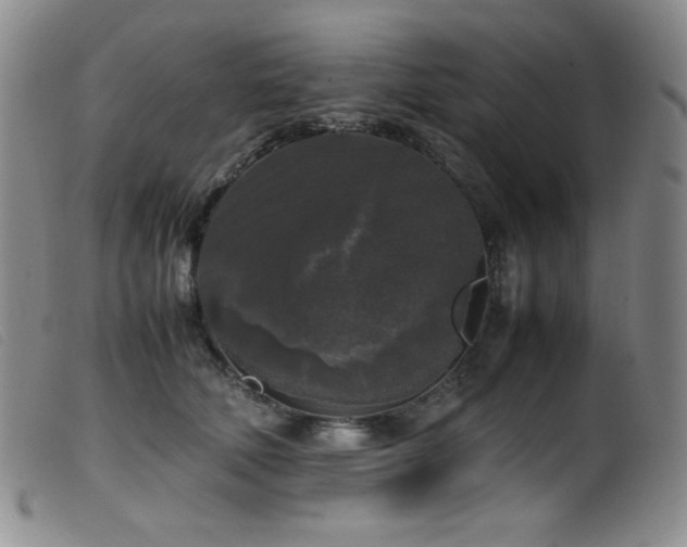 X0000099550610200805161454