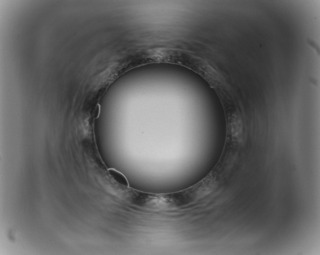 X0000099550611200805161454