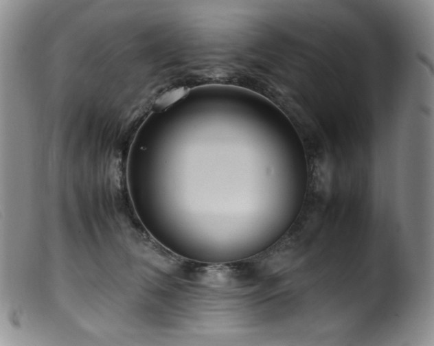 X0000099550612200805161454