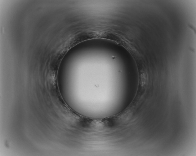 X0000099550613200805161454
