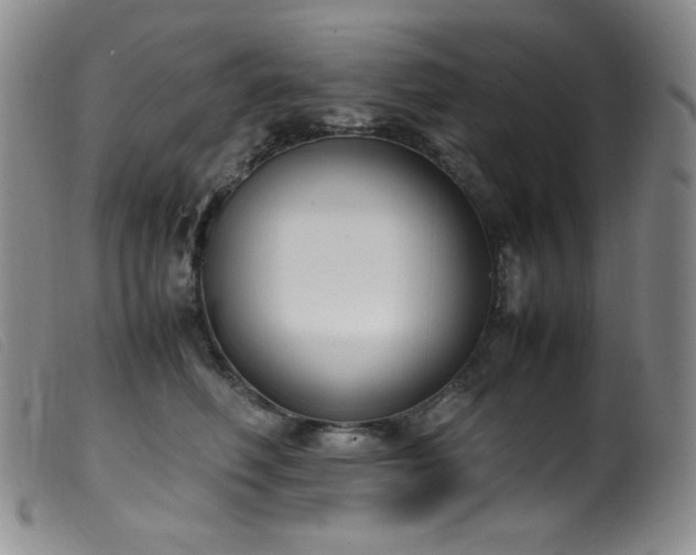 X0000099550614200805161454