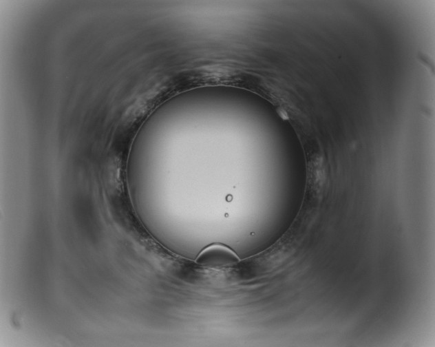 X0000099550615200805161454