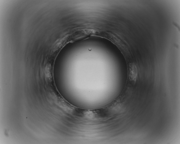 X0000099550616200805161454