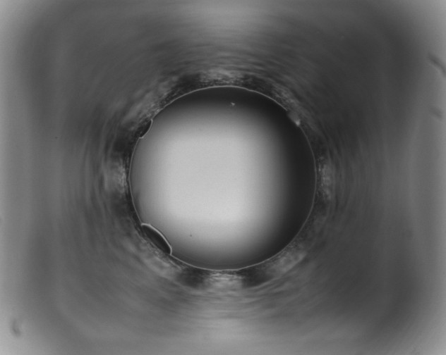 X0000099550617200805161454