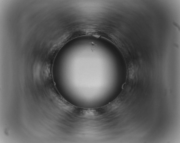 X0000099550618200805161454