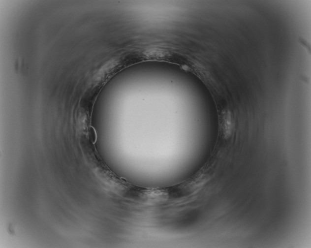 X0000099550619200805161454