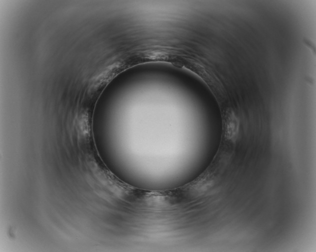 X0000099550620200805161454