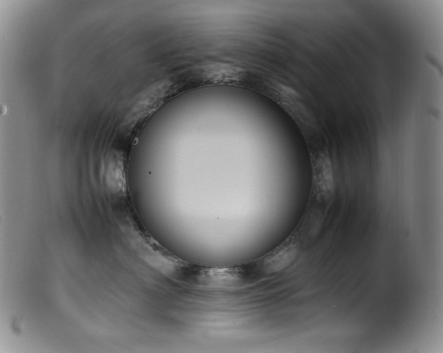 X0000099550622200805161454