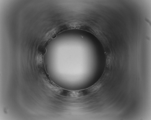 X0000099550623200805161454