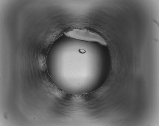 X0000099550624200805161454