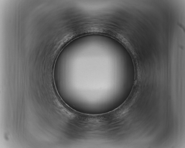 X0000099550625200805161453