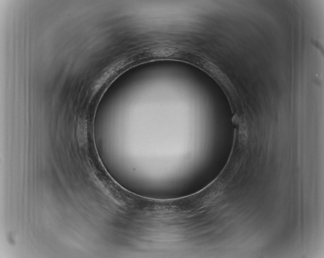 X0000099550626200805161453