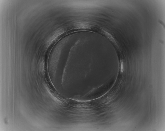 X0000099550627200805161453