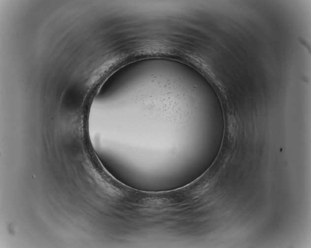X0000099550629200805161453