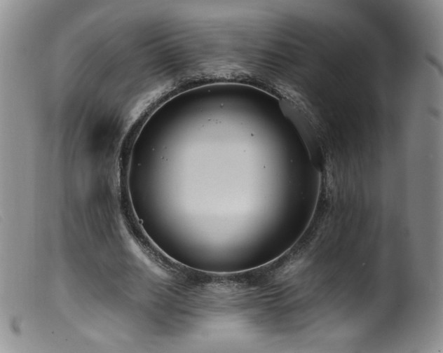X0000099550630200805161453