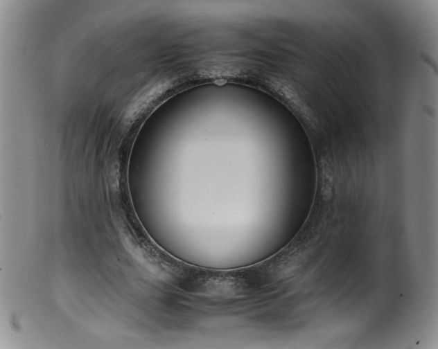 X0000099550631200805161453