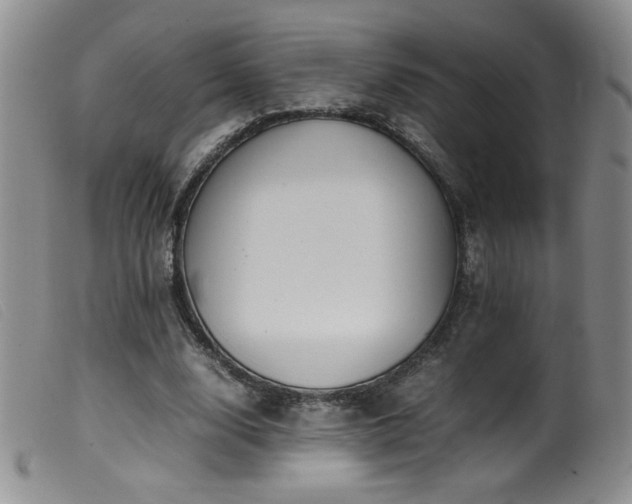 X0000099550632200805161453