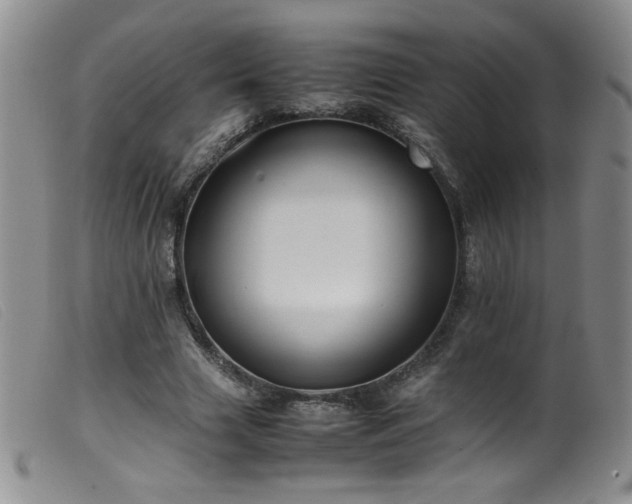 X0000099550633200805161453
