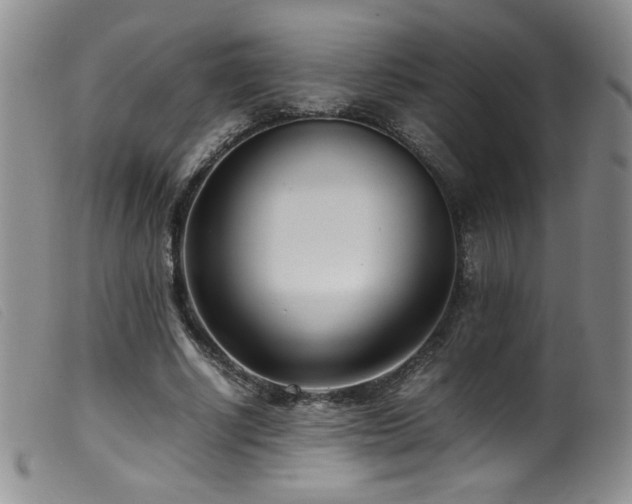 X0000099550634200805161453
