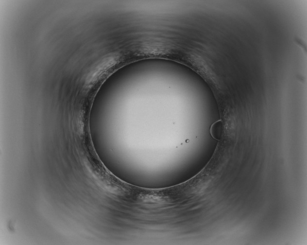 X0000099550635200805161453