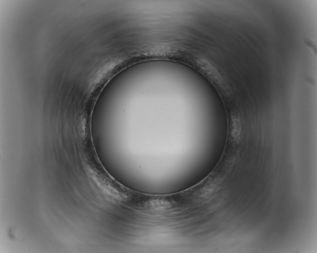 X0000099550636200805161453