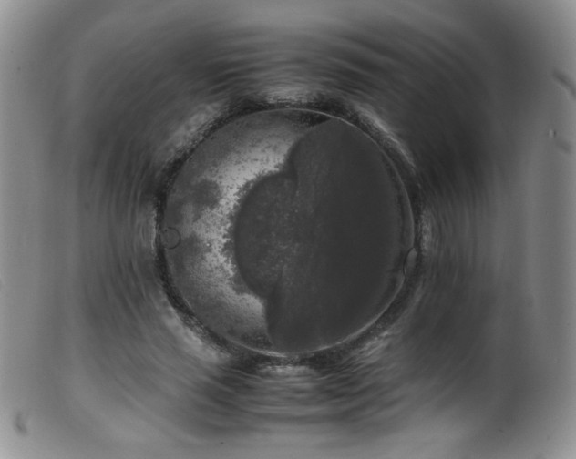 X0000099550637200805161453
