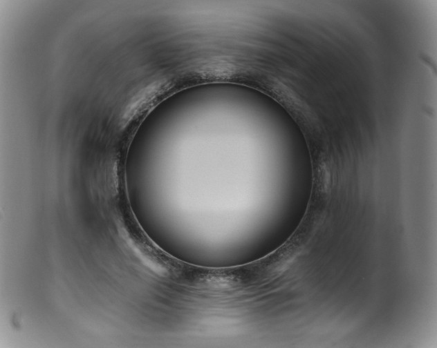 X0000099550638200805161453