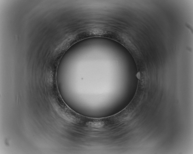 X0000099550639200805161453