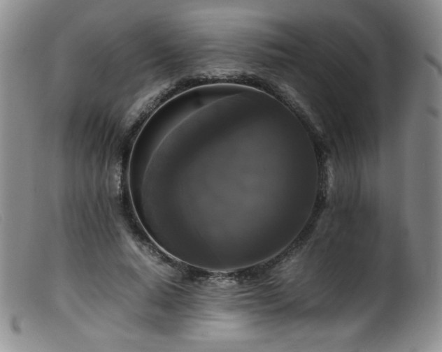 X0000099550640200805161453