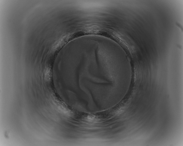 X0000099550641200805161453