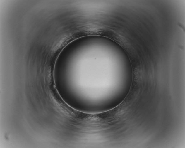 X0000099550642200805161453