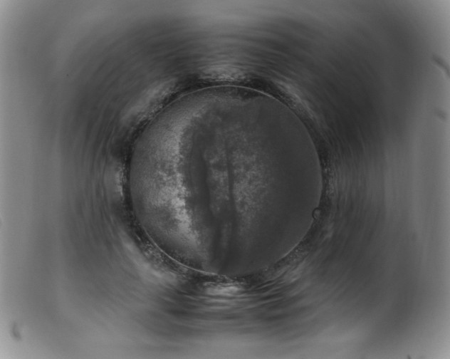 X0000099550643200805161453