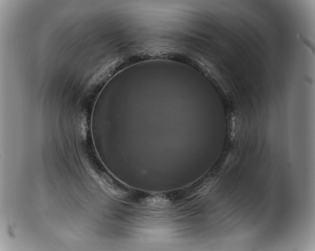 X0000099550644200805161453