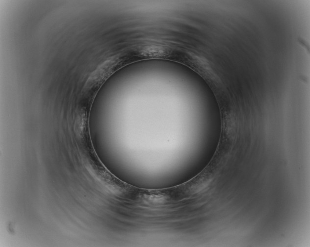 X0000099550645200805161453